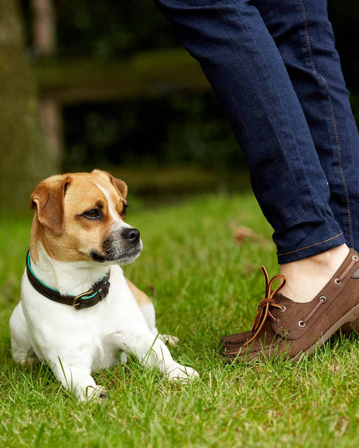 Chocolate Brown coloured Ariat Womens Antigua Boat Shoes on Grassy background #colour_chocolate-brown