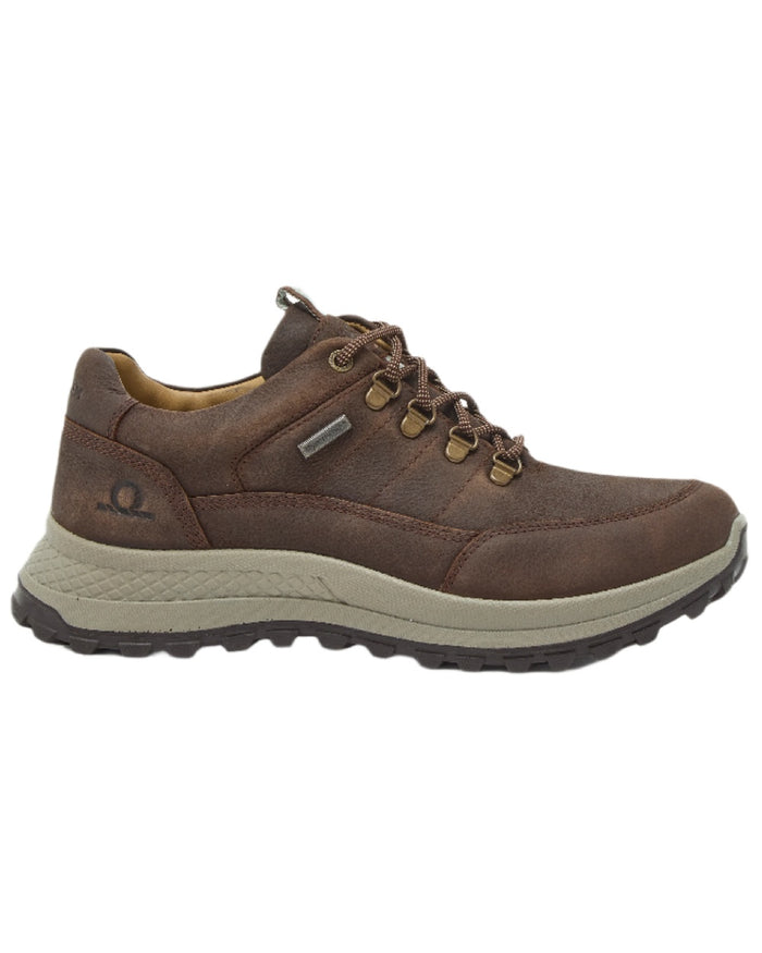 Dark Brown Coloured Chatham Mens Holgate Premium Waterproof Leather Hiking Shoes on white background #colour_dark-brown