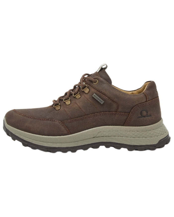 Dark Brown Coloured Chatham Mens Holgate Premium Waterproof Leather Hiking Shoes on white background #colour_dark-brown