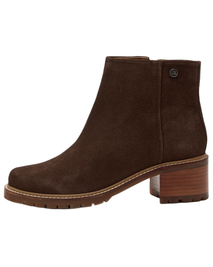 Dark Brown coloured Chatham Womens Hays Casual Heeled Zip Boots on white background #colour_dark-brown