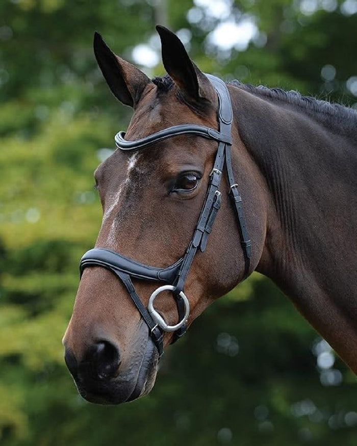 Black coloured Collegiate Comfitec Vogue Anatomical Bridle on blurry green background #colour_black