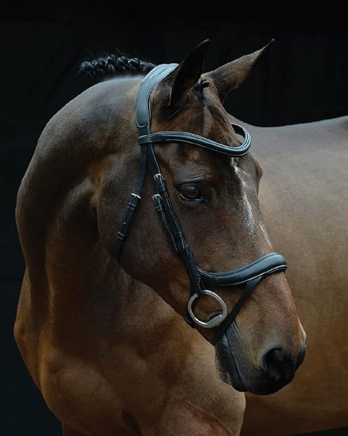 Black coloured Collegiate Comfitec Vogue Anatomical Bridle on black background #colour_black