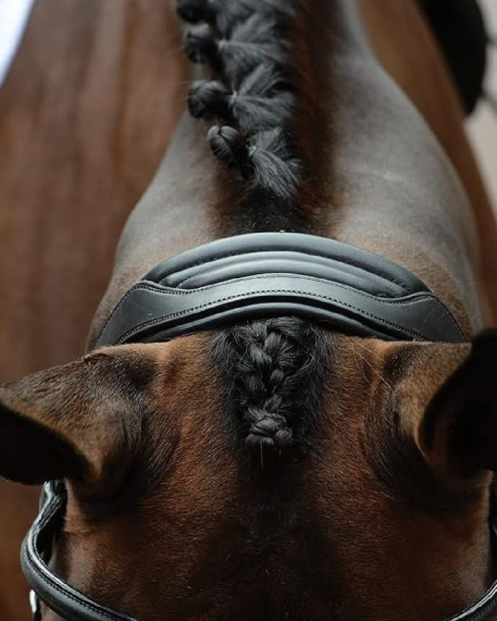 Black coloured Collegiate Comfitec Vogue Anatomical Bridle on blurry background #colour_black