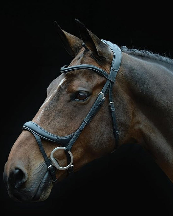 Black coloured Collegiate Comfitec Vogue Anatomical Bridle on black background #colour_black