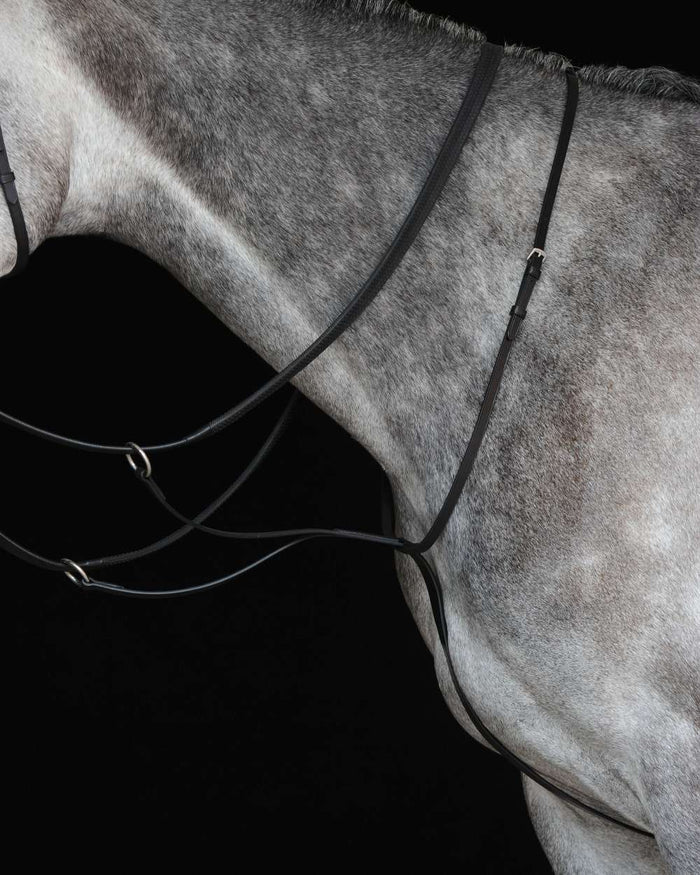 Black coloured Collegiate Running Martingale IV on black background #colour_black