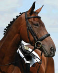 Black coloured Collegiate Syntovia Plus Padded Raised Cavesson Bridle on sky background #colour_black