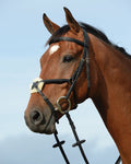 Black coloured Collegiate Syntovia Plus Padded Raised Figure 8 Bridle on sky background #colour_black