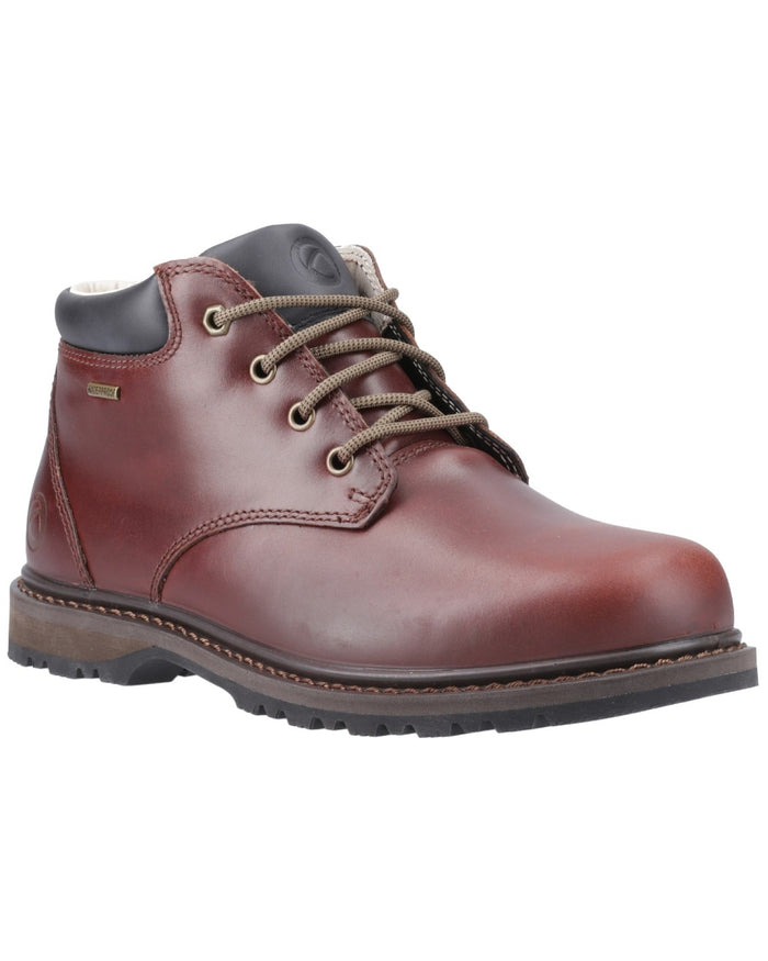 Brown coloured Cotswold Mens Bredon Leather Hiking Shoes on white background #colour_brown