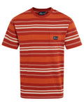 Red Beach Stripe Craghoppers Mens Pointer Short Sleeved T-Shirt on white background #colour_red-beach-stripe