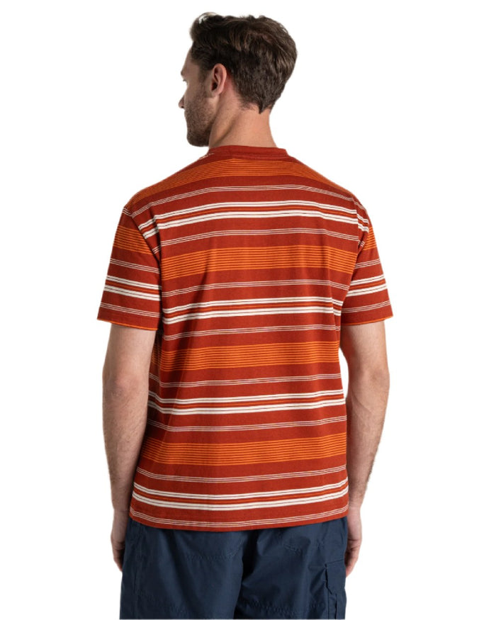 Red Beach Stripe Craghoppers Mens Pointer Short Sleeved T-Shirt on white background #colour_red-beach-stripe