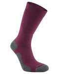 Wildberry coloured Craghoppers Trek Sock on white background #colour_wildberry