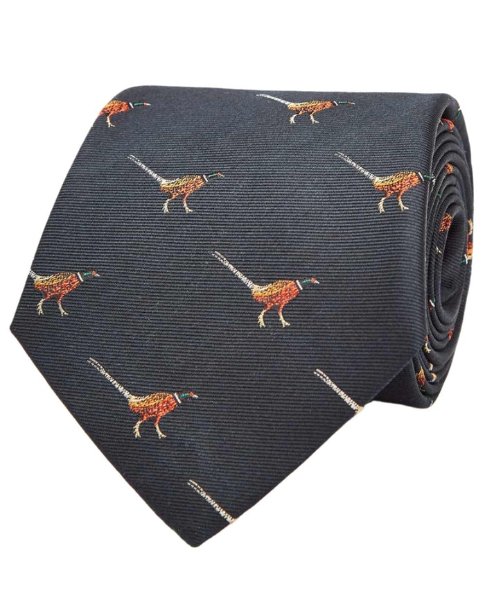 Navy coloured Dubarry Madden Mens Silk Tie on white background #colour_navy