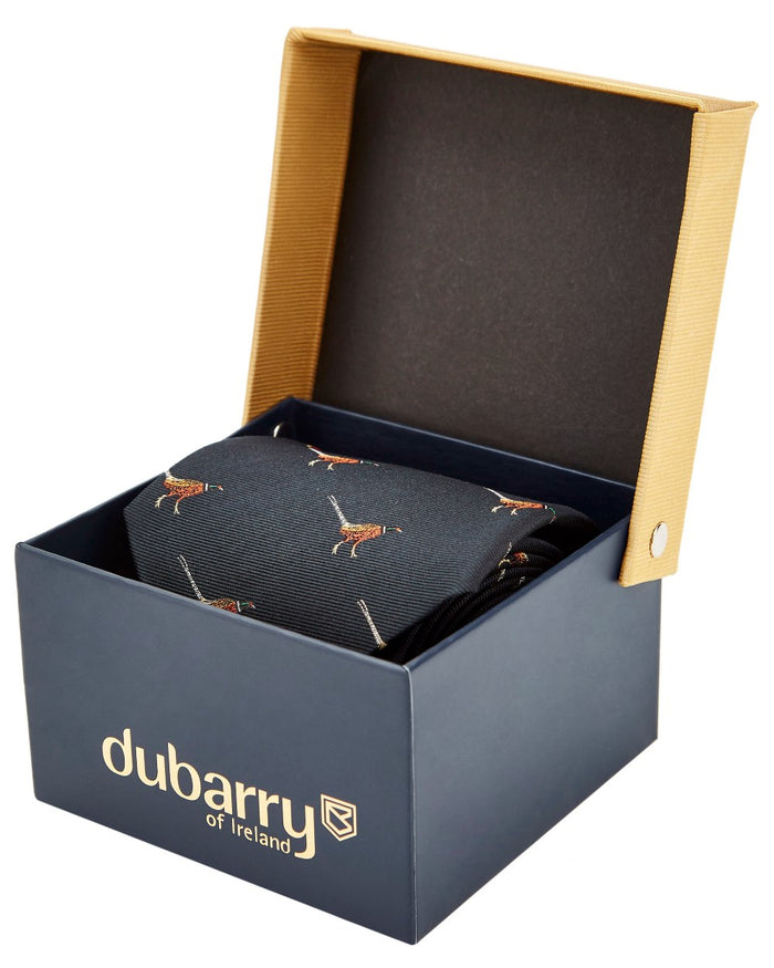 Navy coloured Dubarry Madden Mens Silk Tie on white background #colour_navy