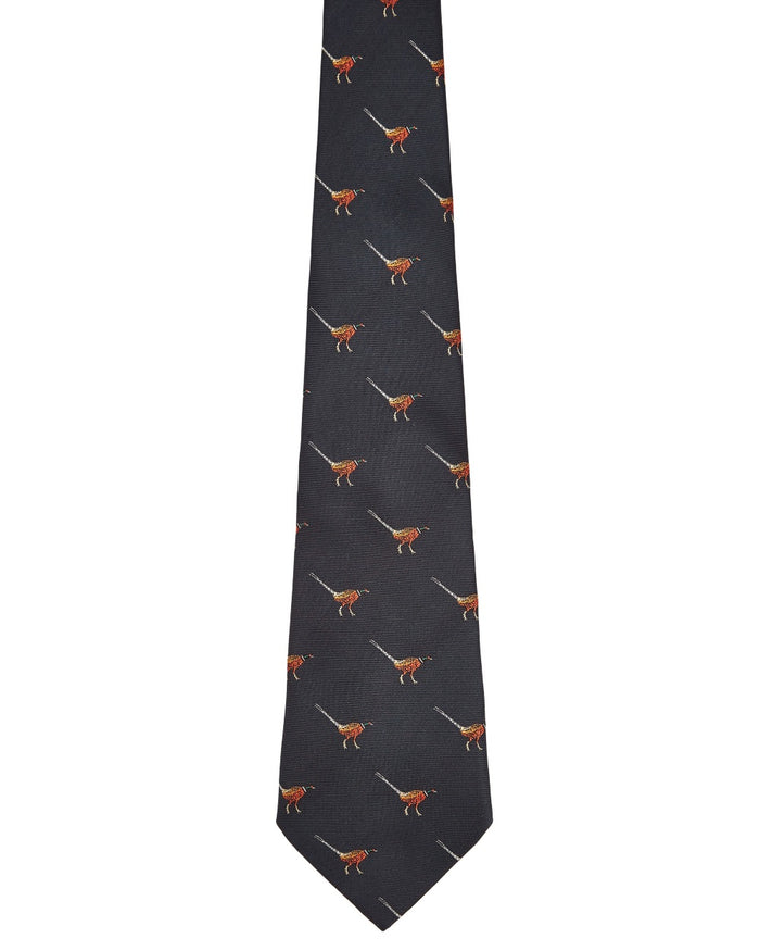 Navy coloured Dubarry Madden Mens Silk Tie on white background #colour_navy