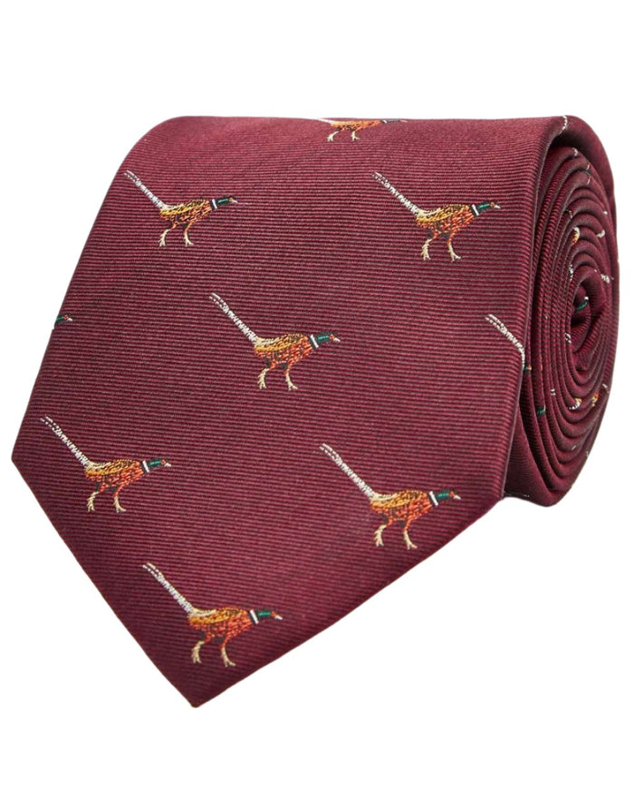 Merlot coloured Dubarry Madden Mens Silk Tie on white background #colour_merlot