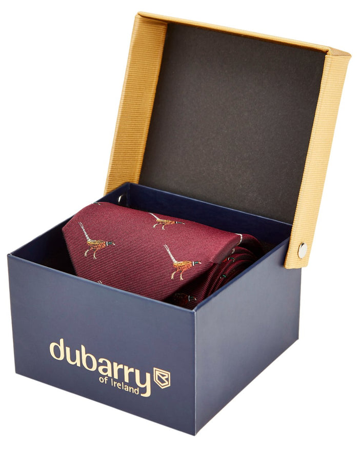 Merlot coloured Dubarry Madden Mens Silk Tie on white background #colour_merlot