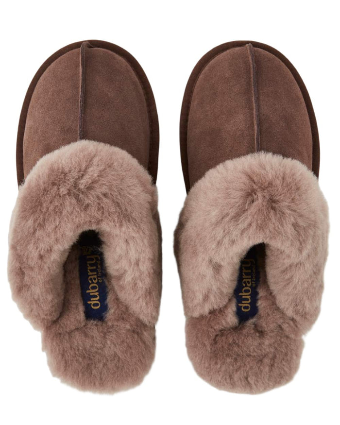 Cigar Coloured Dubarry Rockmill Slip On Slippers On A White Background #colour_cigar