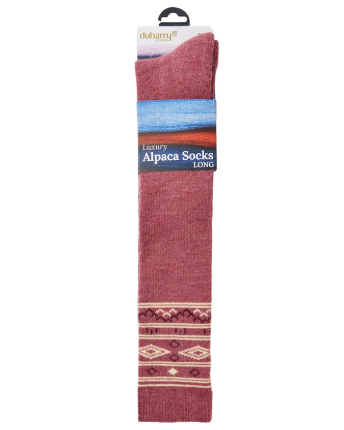 Clover coloured Dubarry Rolestown Fair Isle Alpaca Socks on white background #colour_clover