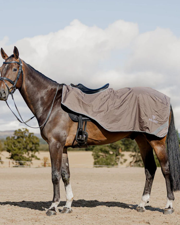 Taupe Charcoal coloured Equidry Waterproof Lite Fleece Lined Exercise Sheet on outdoor background #colour_taupe-charcoal