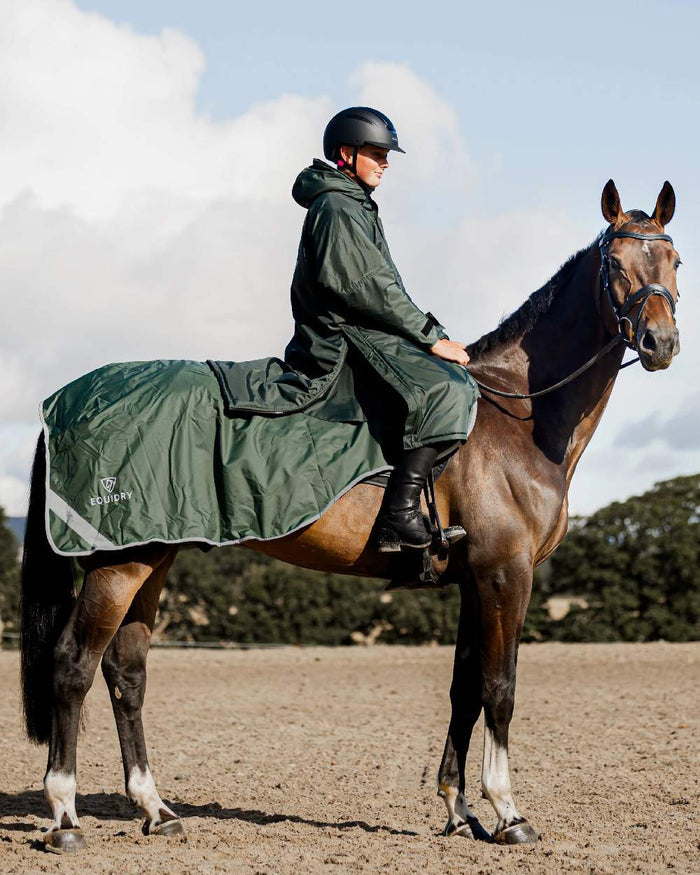 Black Forest Green Grey Coloured Equidry Waterproof Thick Fleece Lined Exercise Sheet on outdoor background #colour_black-forest-green-grey