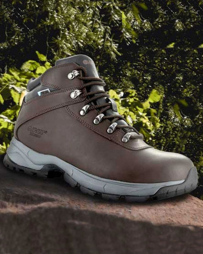 Dark Chocolate Hi-Tec Ladies Eurotrek Lite Waterproof Boots on forest background #colour_dark-chocolate