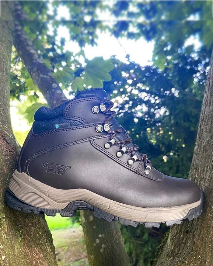 Dark Chocolate Hi-Tec Ladies Eurotrek Lite Waterproof Boots on forest background #colour_dark-chocolate