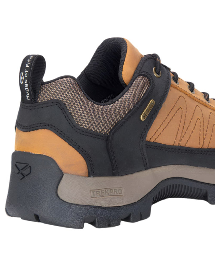 Tundra Coloured Hoggs of Fife Corrie Adventure Lace Shoes on white background #colour_tundra