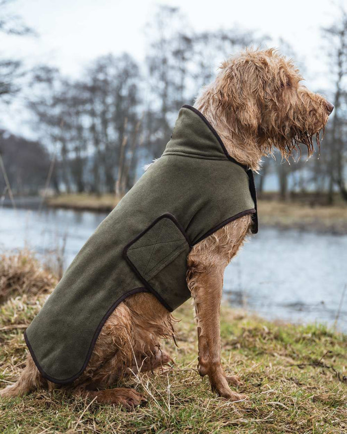 Lovat Coloured Hoggs of Fife Stenton Fleece Dog Coat on countryside background #colour_lovat