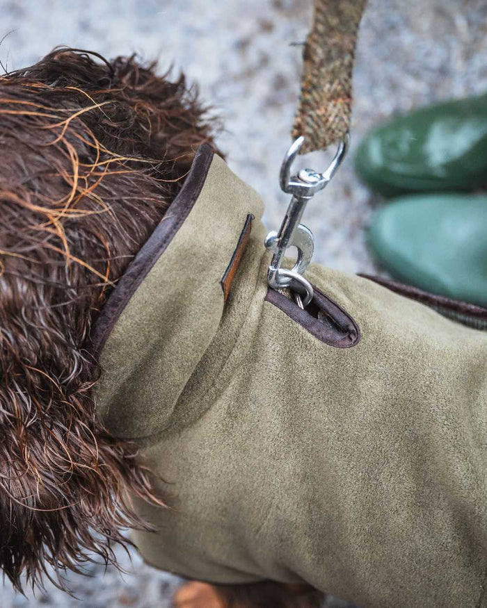 Lovat Coloured Hoggs of Fife Stenton Fleece Dog Coat on blurry background #colour_lovat