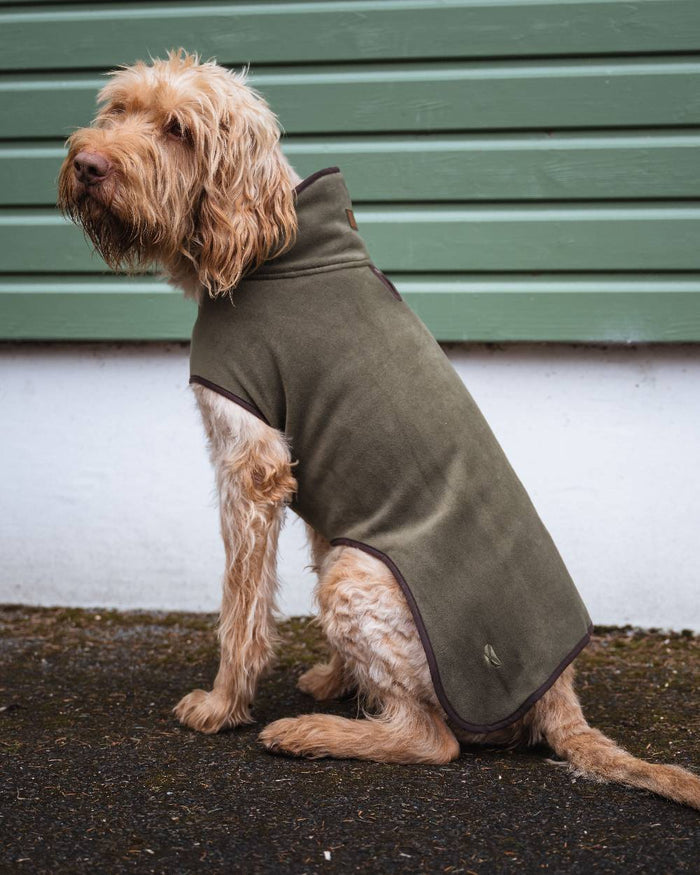 Lovat Coloured Hoggs of Fife Stenton Fleece Dog Coat on countryside background #colour_lovat