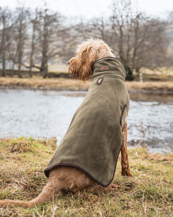 Lovat Coloured Hoggs of Fife Stenton Fleece Dog Coat on countryside background #colour_lovat