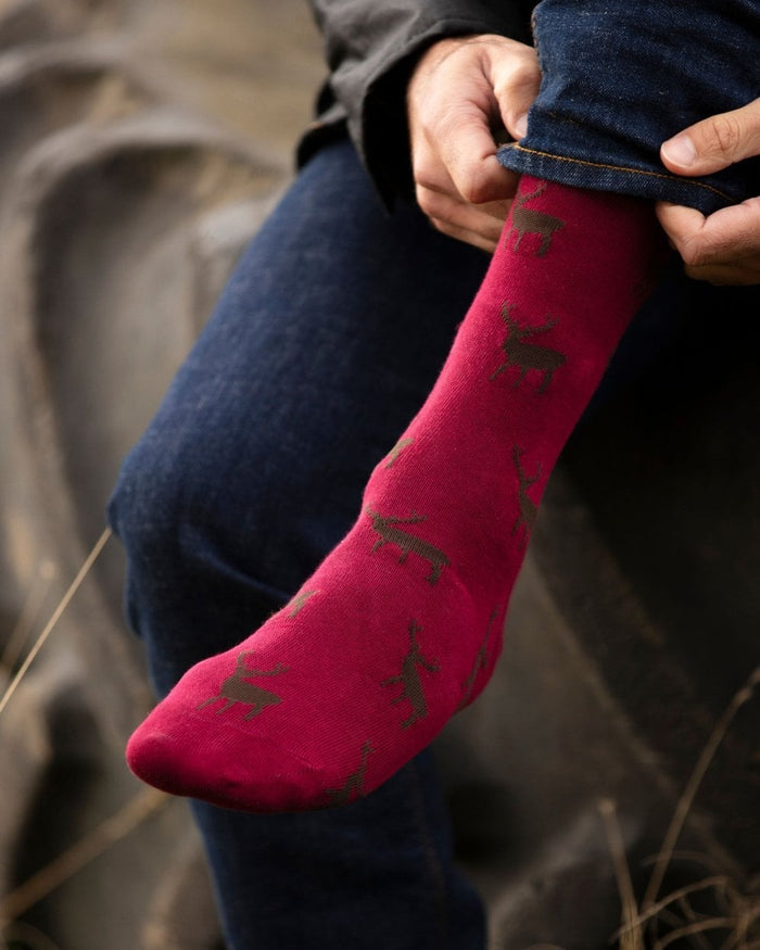 Stag coloured House of Cheviot Cotton Socks on blurry background #colour_stag