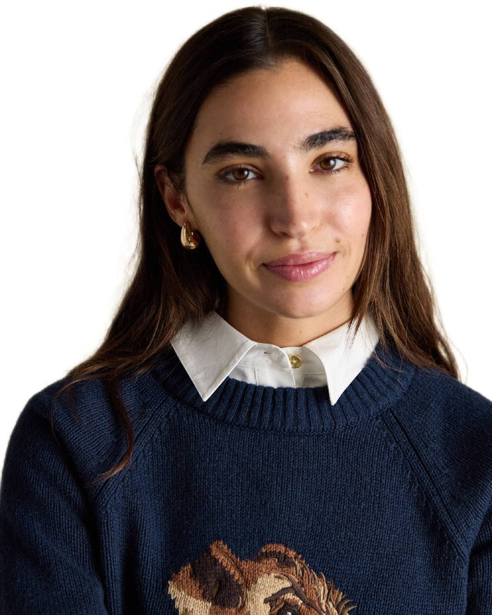Navy Coloured Joules Womens Monty Dog Jumper on white background #colour_navy