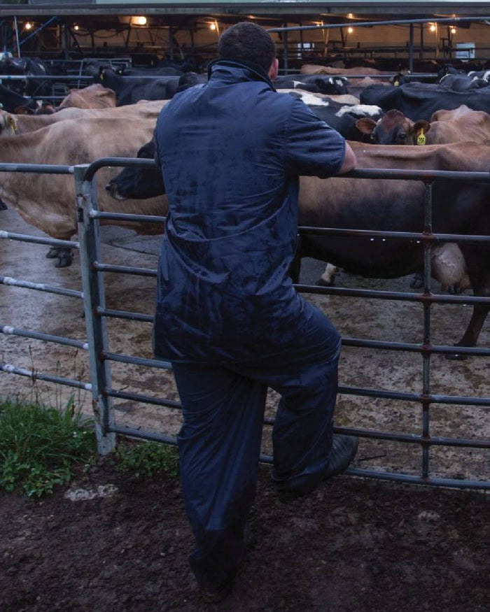 Navy coloured Kaiwaka Mens AgTex Overtrousers on poultry background #colour_navy