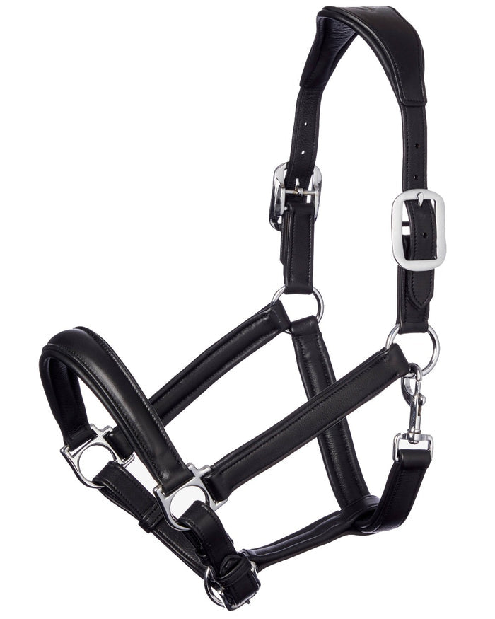 Black coloured LeMieux Anatomic Headcollar on white background #colour_black