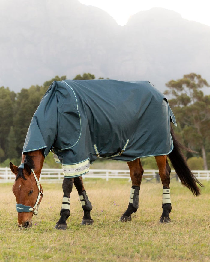 Jungle coloured LeMieux Arika Ripstop 50g Turnout Horse Rug on grassy background #colour_jungle