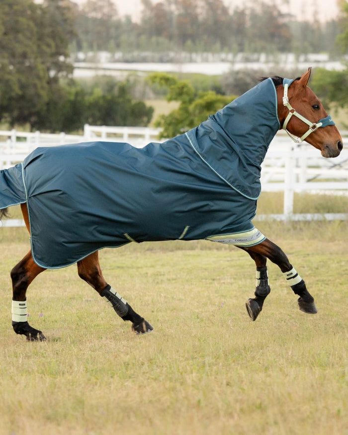 Jungle coloured LeMieux Arika Ripstop 50g Turnout Horse Rug on grassy background #colour_jungle