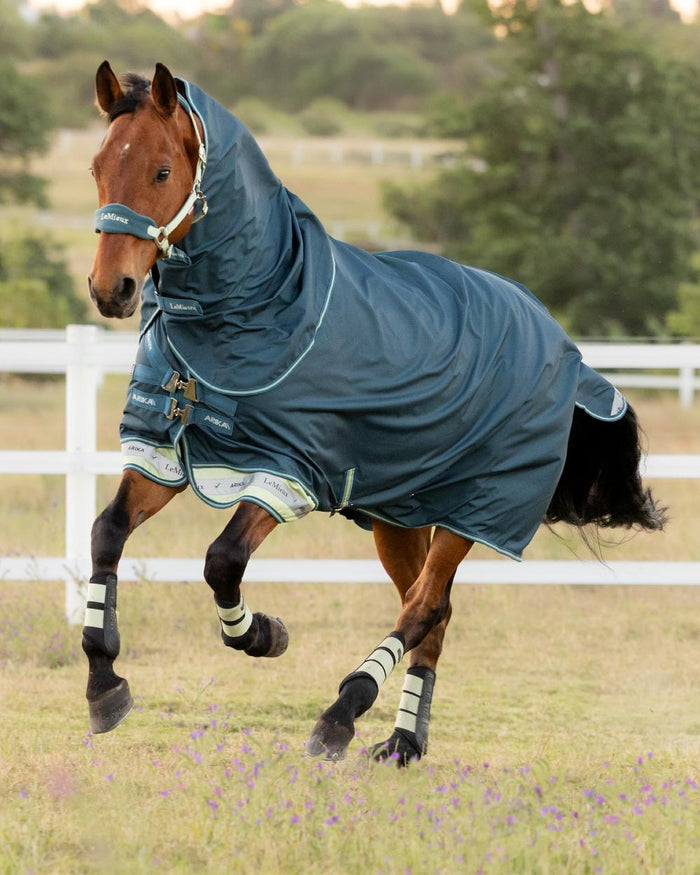 Jungle coloured LeMieux Arika Ripstop 50g Turnout Horse Rug on grassy background #colour_jungle