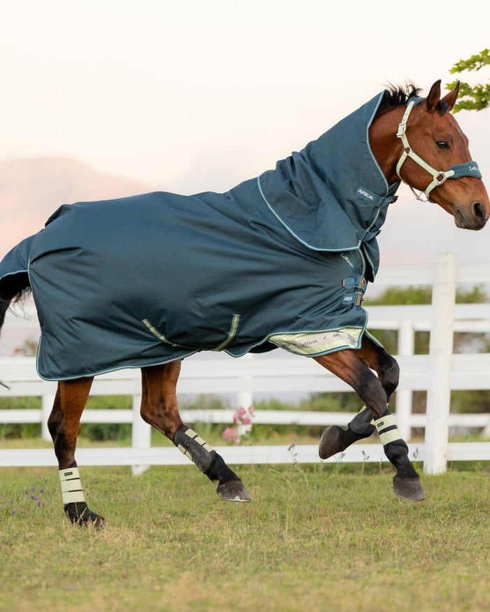 Jungle coloured LeMieux Arika Ripstop 50g Turnout Horse Rug on grassy background #colour_jungle