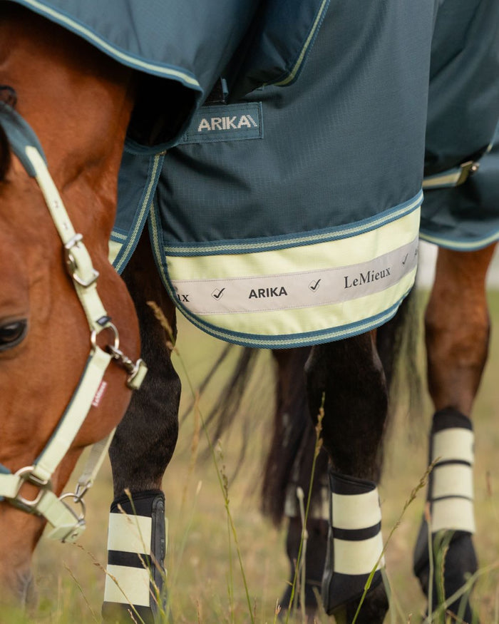 Jungle coloured LeMieux Arika Ripstop 50g Turnout Horse Rug on grassy background #colour_jungle