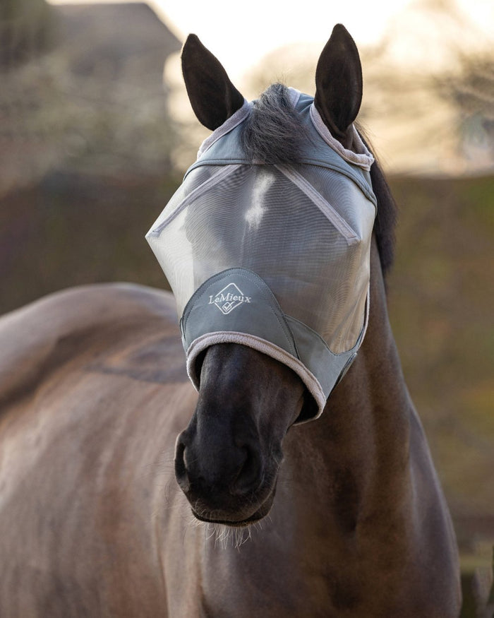 Grey coloured LeMieux ArmourShield Pro Standard Fly Mask with horse in background #colour_grey