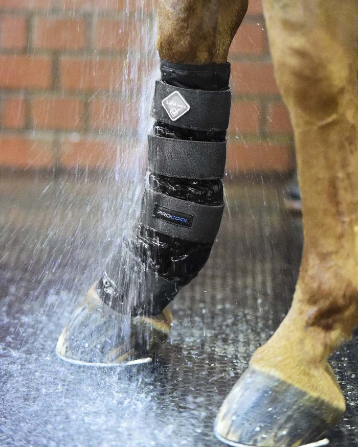 Black coloured LeMieux Cold Water Boots on blurry background #colour_black