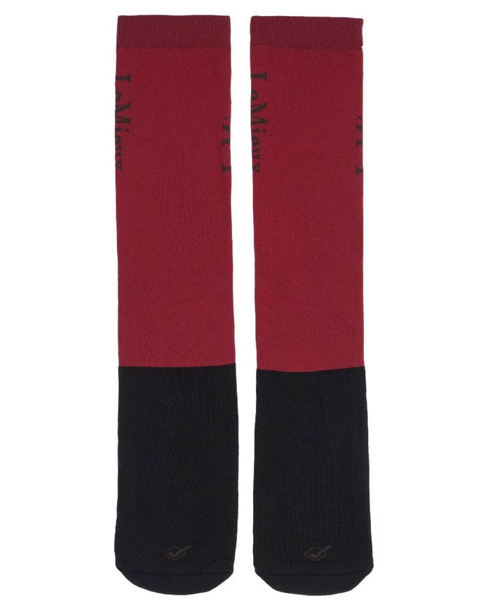 Ember coloured LeMieux Competition Socks (Twin Pack) on white background #colour_ember