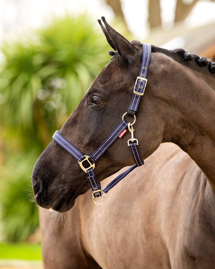 Navy coloured LeMieux Essential Yard Headcollar on blurred background #colour_navy