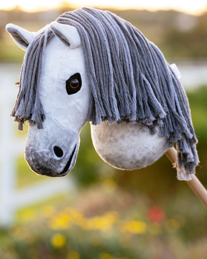 Hobby Horse Earl coloured LeMieux Hobby Horse Earl on blurry background  #colour_earl