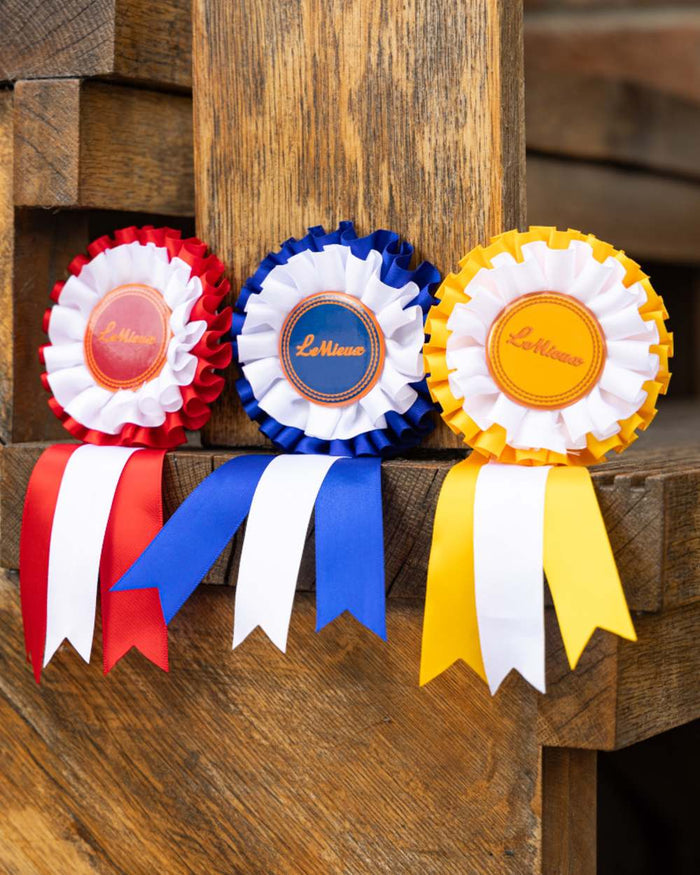 Multi coloured LeMieux Hobby Horse Rosette Pack on wood background #colour_multi