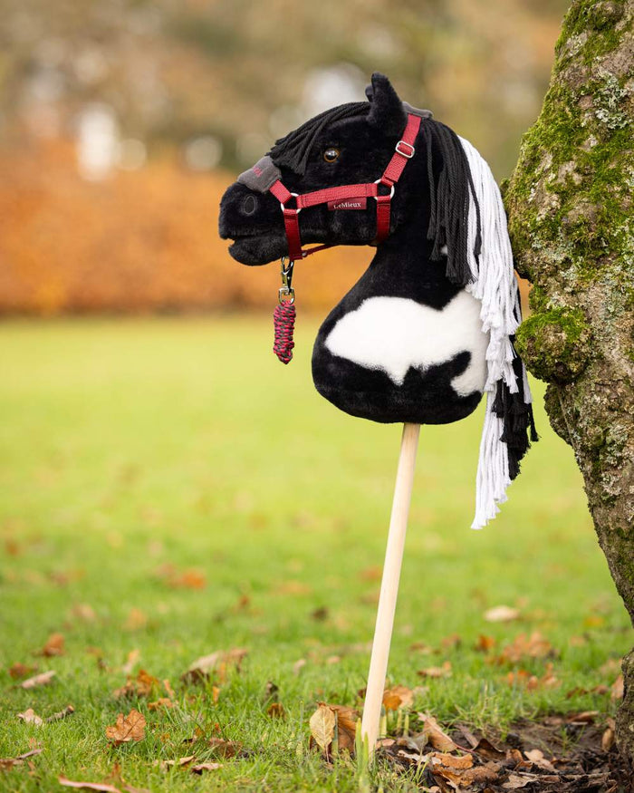 Razzle Coloured LeMieux Hobby Horse On A Outer Yard Background #colour_razzle