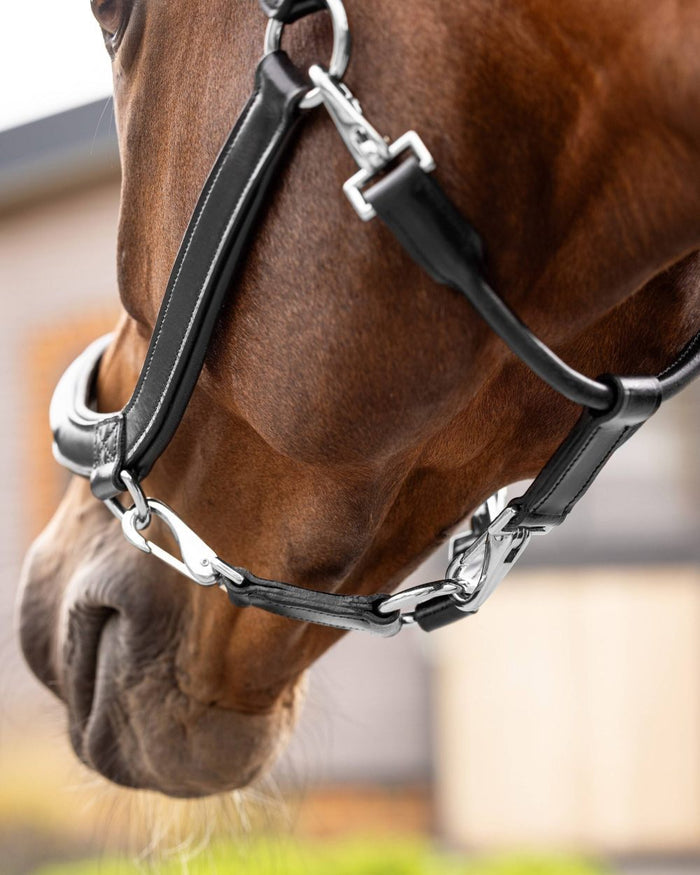 Black coloured LeMieux Leather Grooming Headcollar on blurry background #colour_black