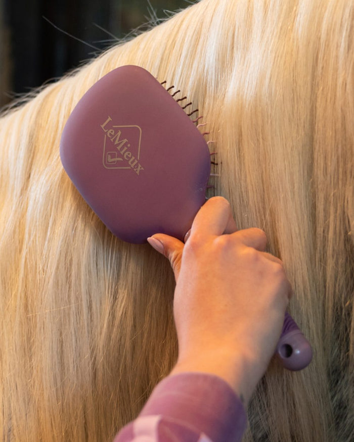 Mallow coloured LeMieux Tangle Tidy Brush on outdoor background #colour_mallow