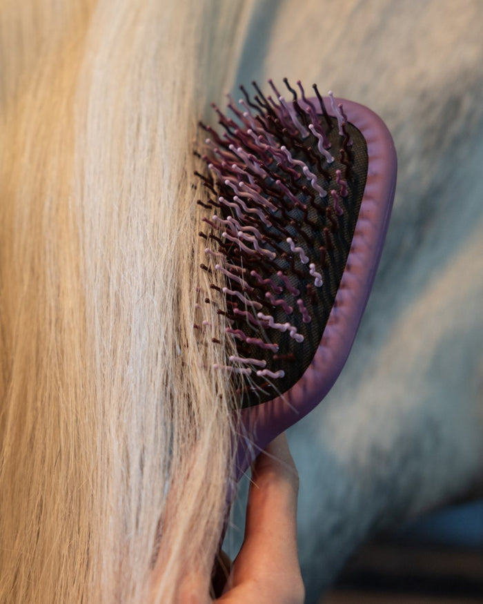 Mallow coloured LeMieux Tangle Tidy Brush on outdoor background #colour_mallow